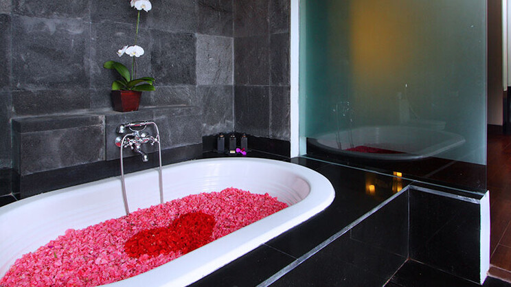 Lagoon Pool Access Villa 